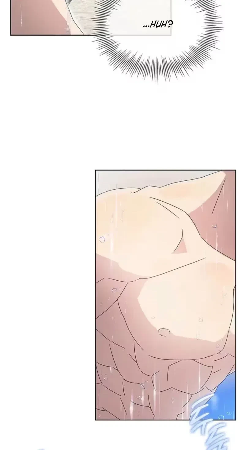 Chapter 1, page 41