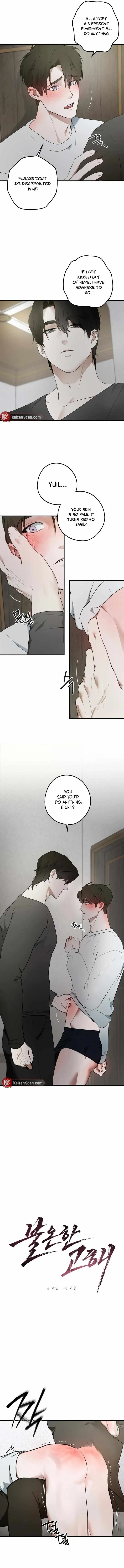 Chapter 3, page 5