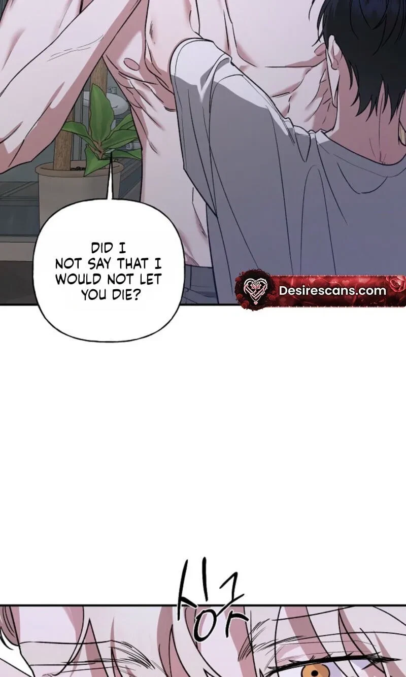 Chapter 41, page 14