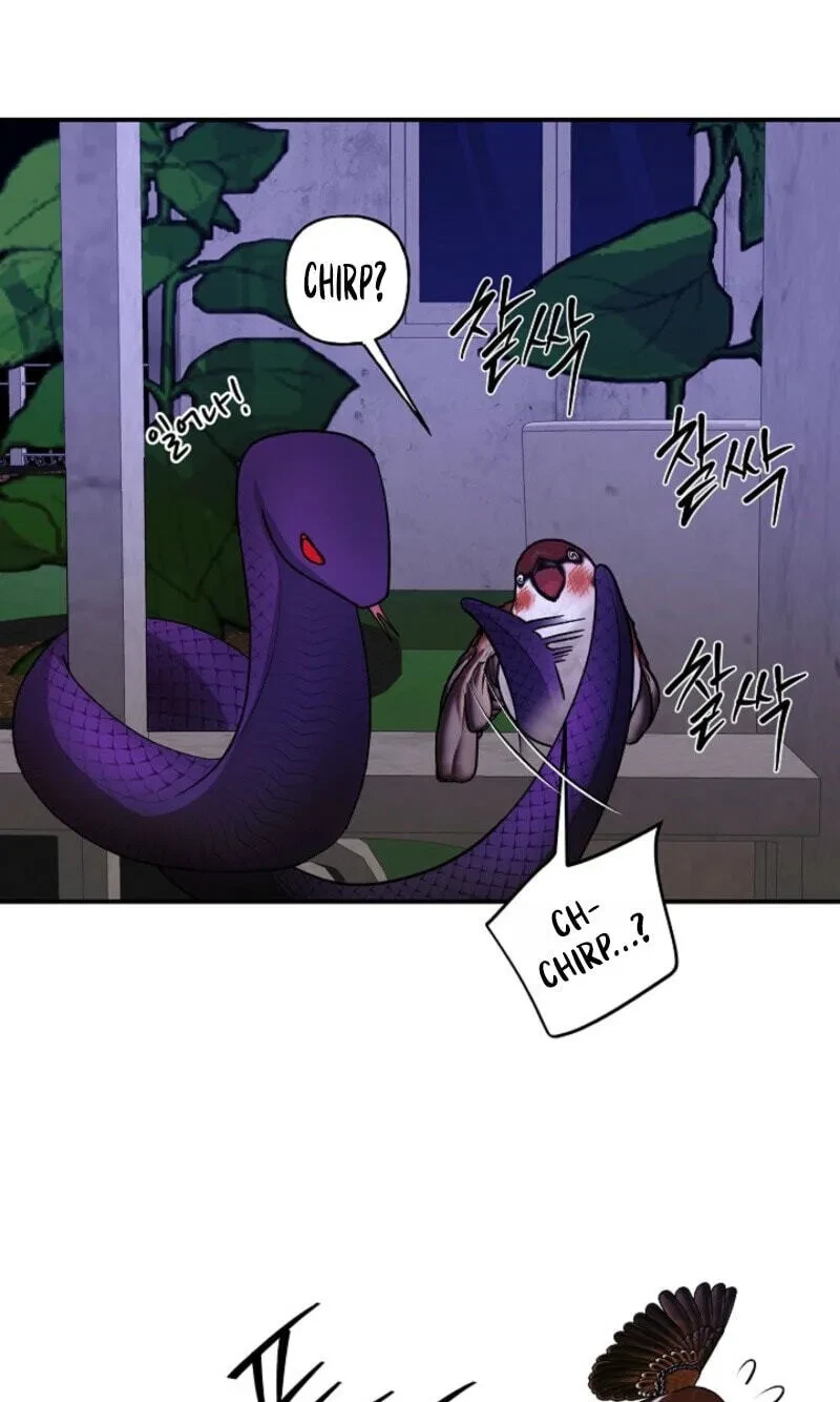 Chapter 41, page 79