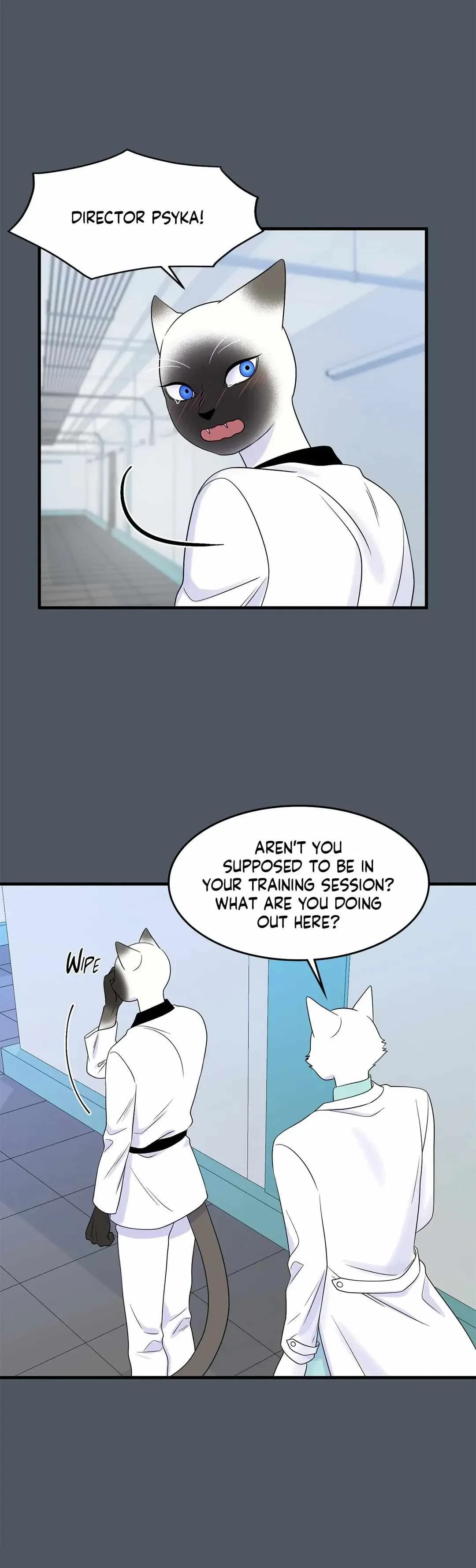 Chapter 38, page 11