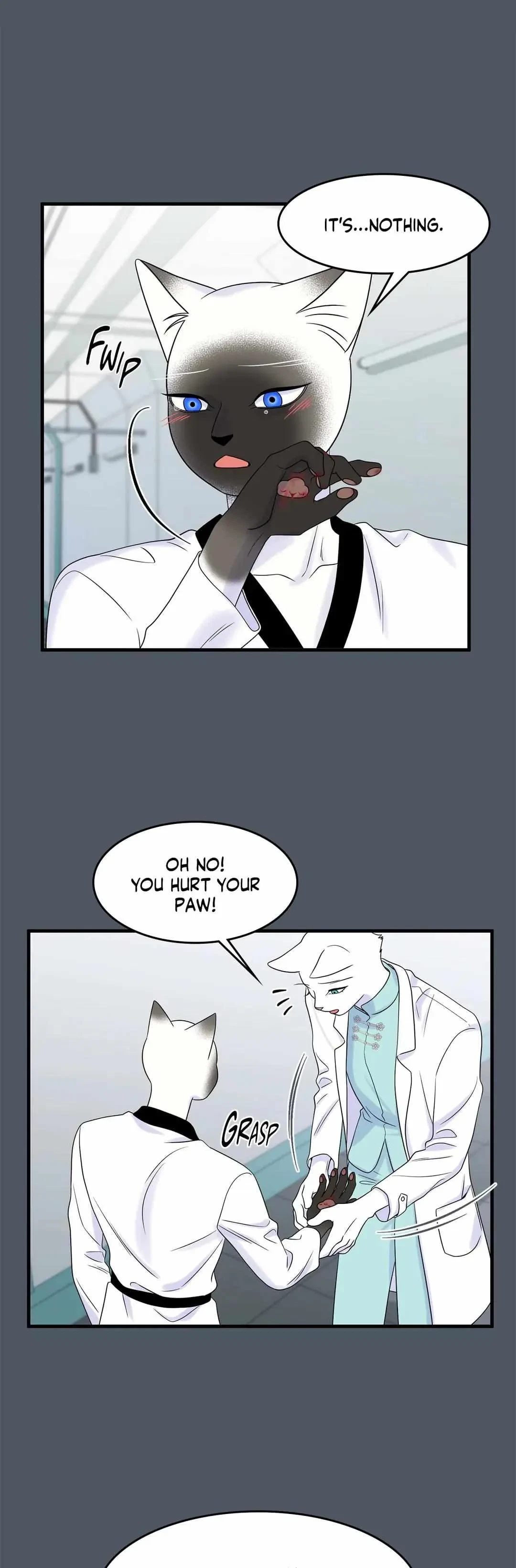 Chapter 38, page 12