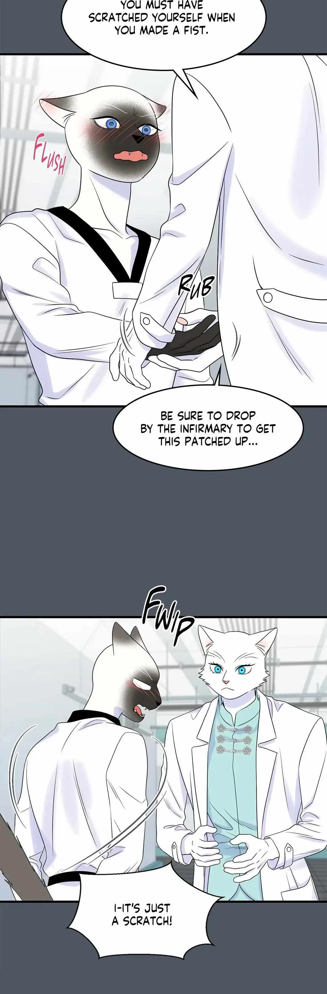 Chapter 38, page 13