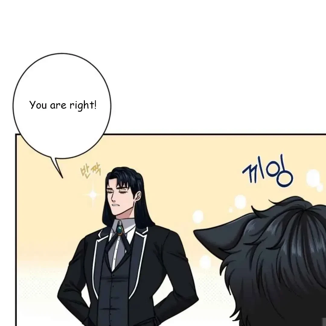 Chapter 3, page 41