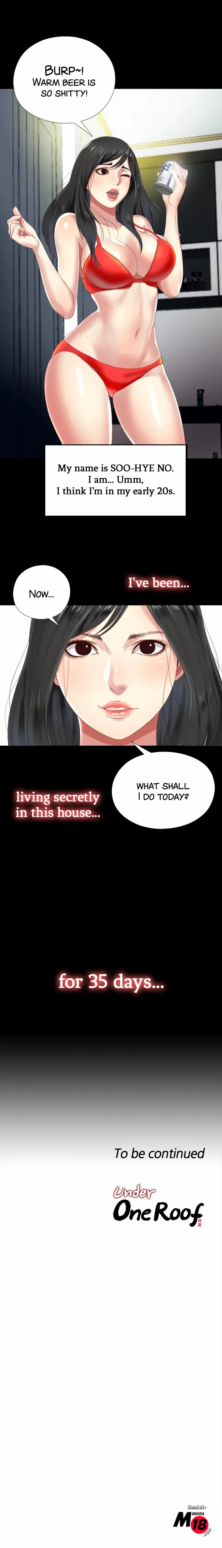Chapter 1, page 17
