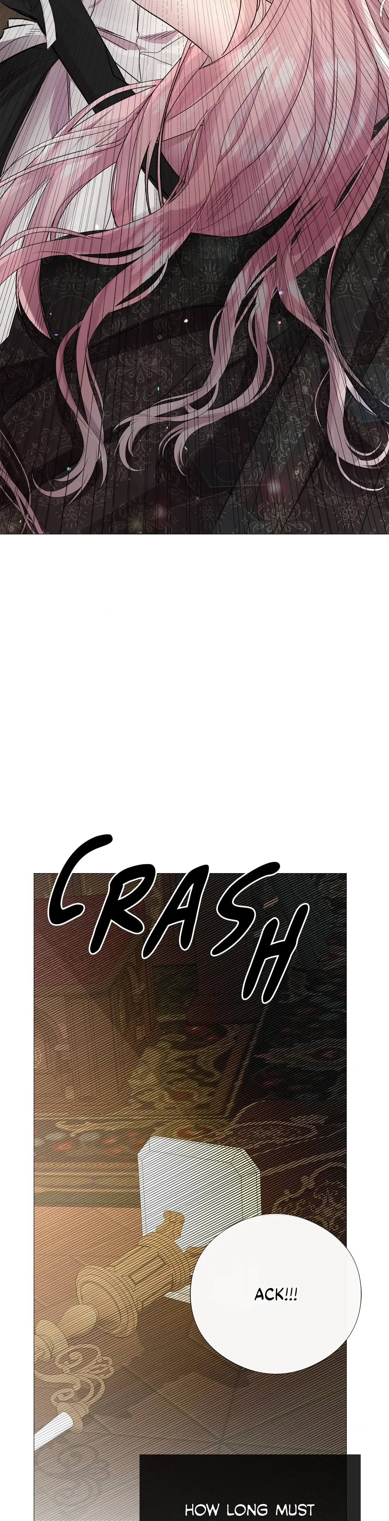 Chapter 2, page 16