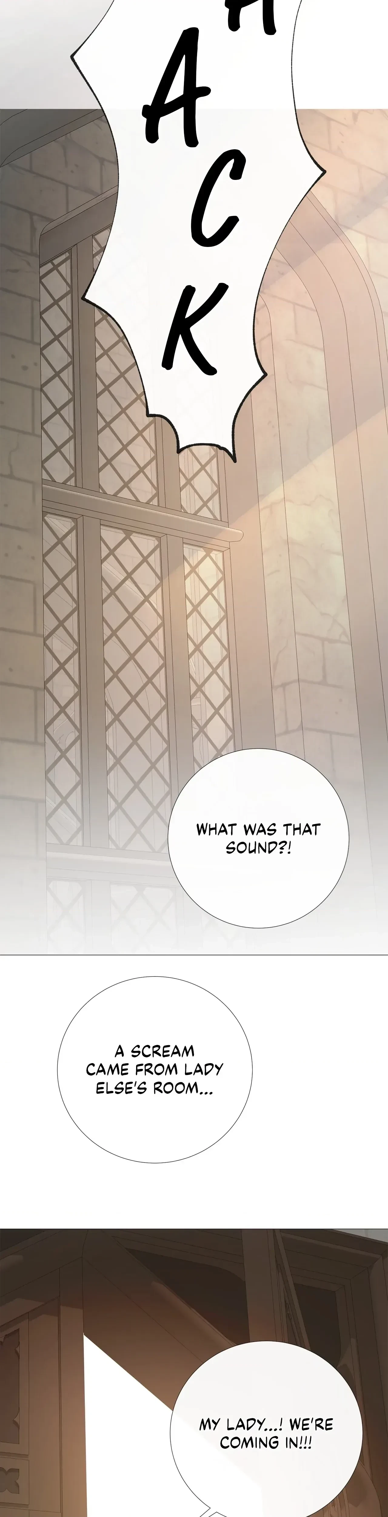 Chapter 2, page 23