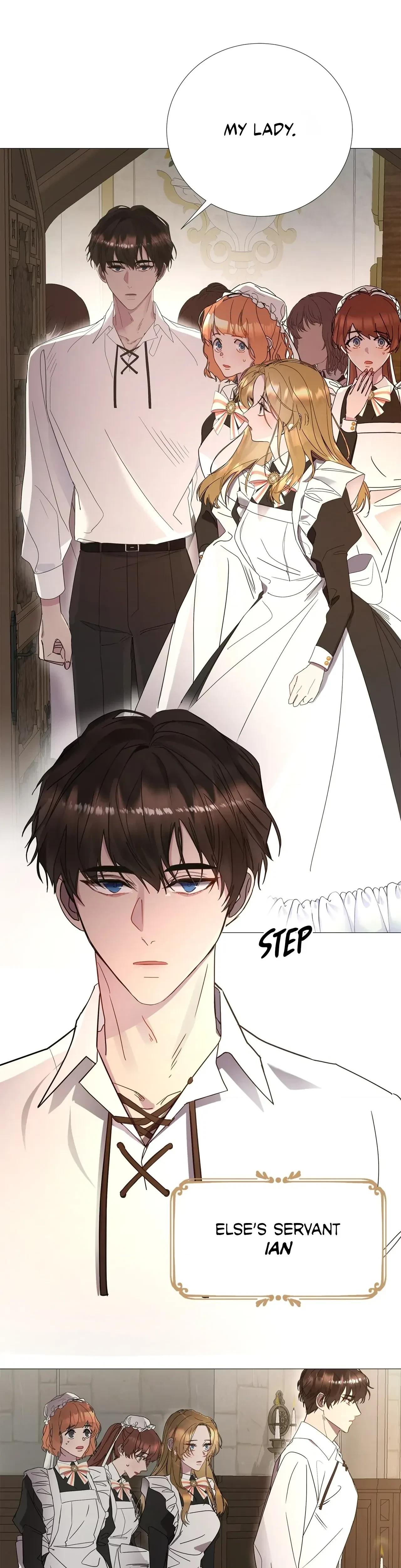 Chapter 2, page 29