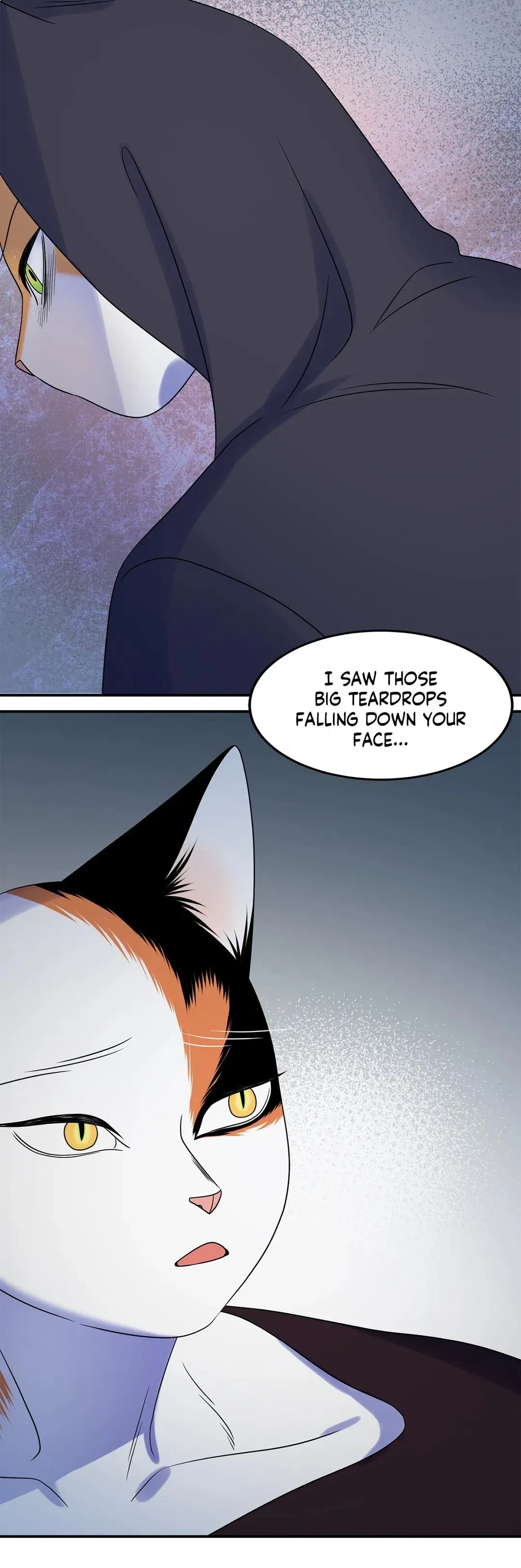 Chapter 17, page 41