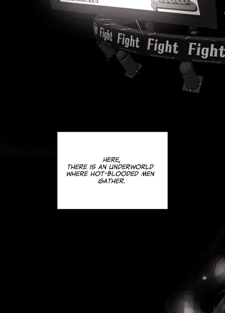 Chapter 2.1, page 19