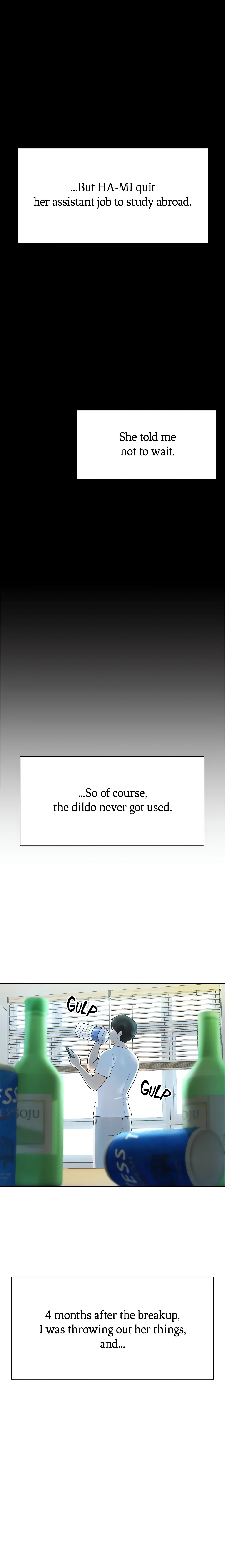 Chapter 1, page 17