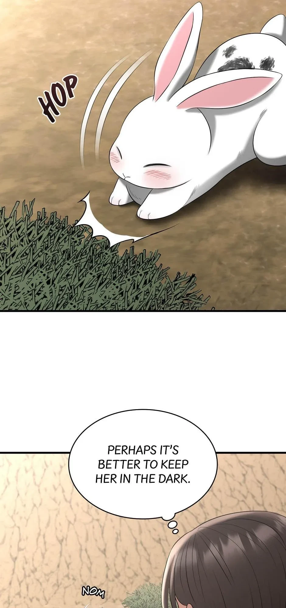Chapter 3, page 54