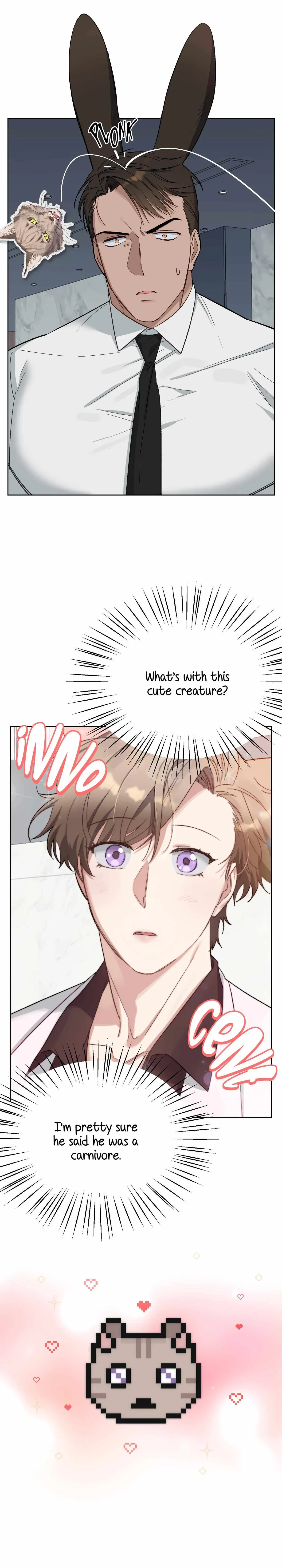 Chapter 2, page 5
