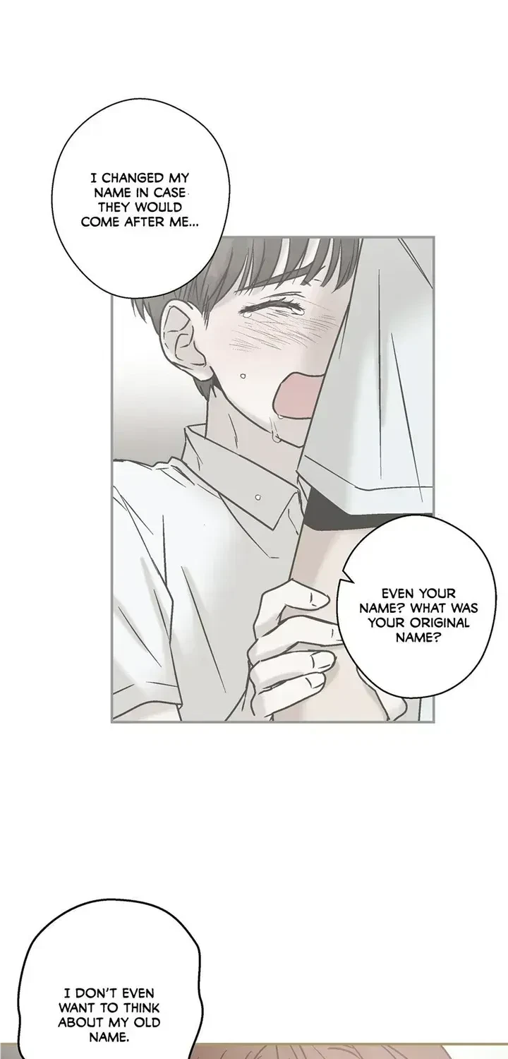 Chapter 4.3, page 30