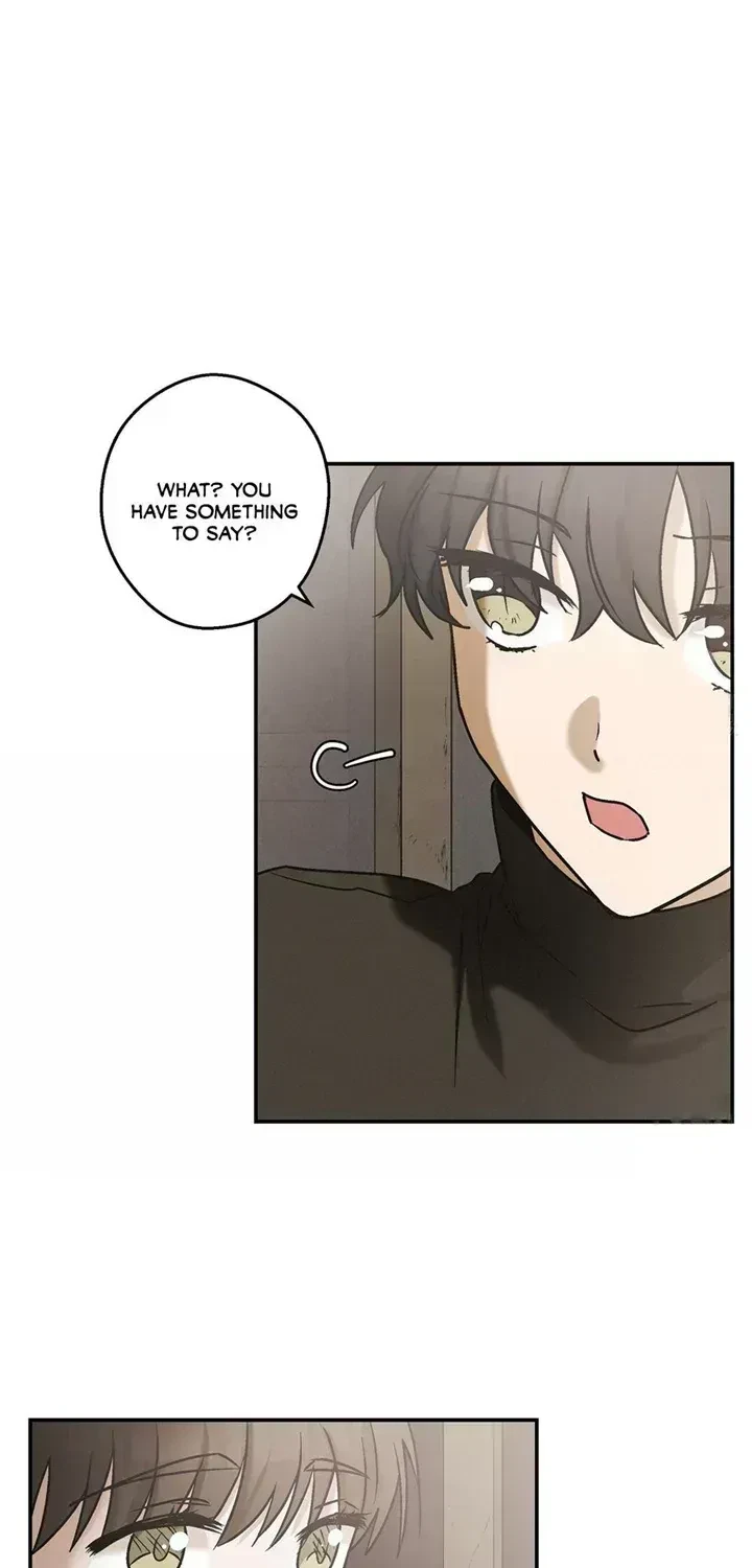 Chapter 4.3, page 52