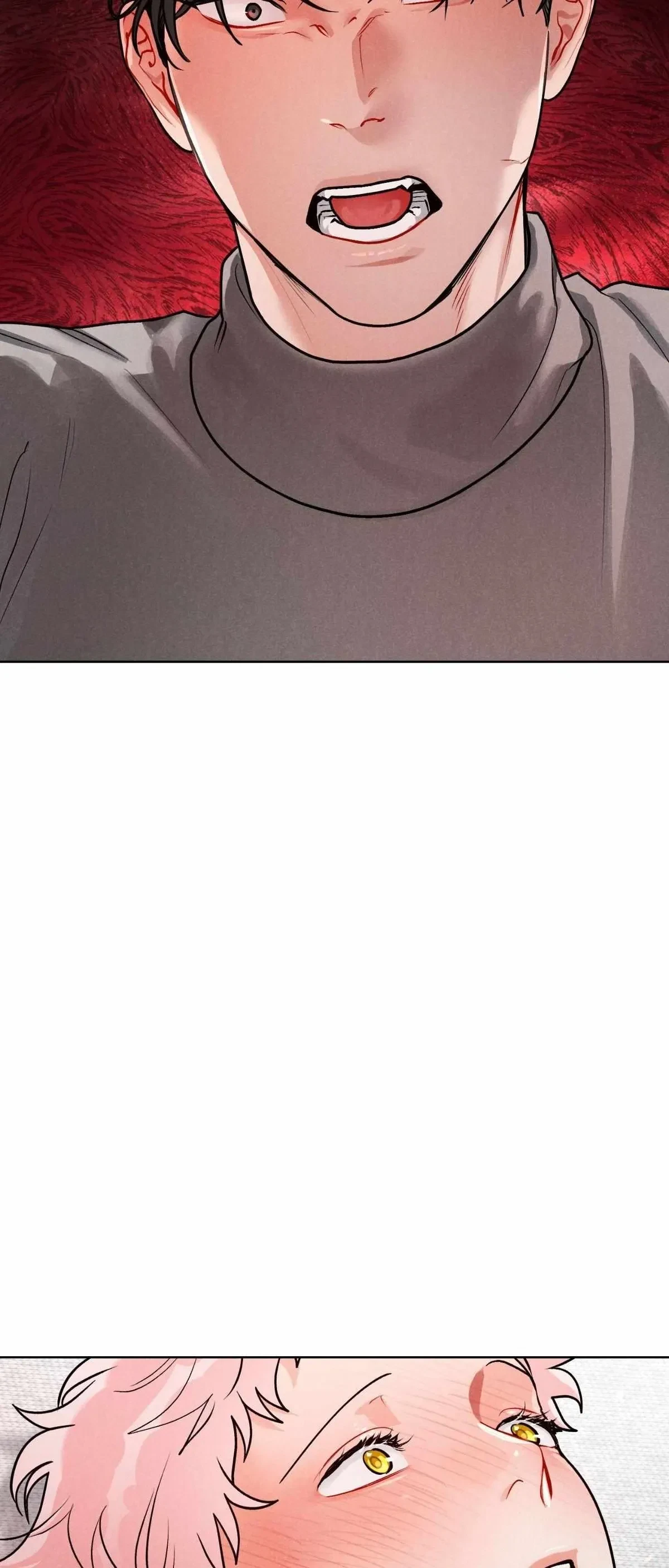 Side. : 5, page 17