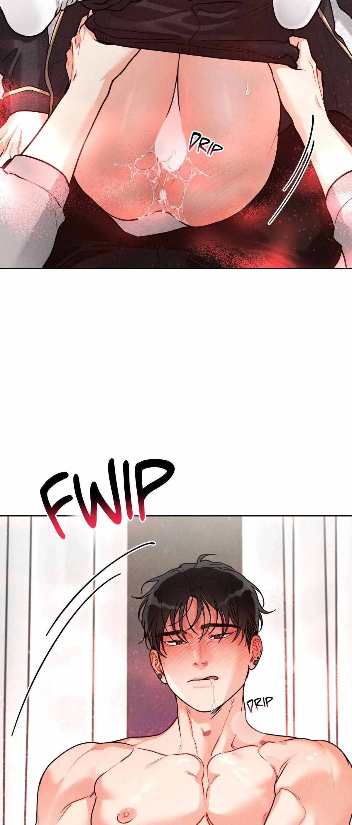 Side. : 5, page 31