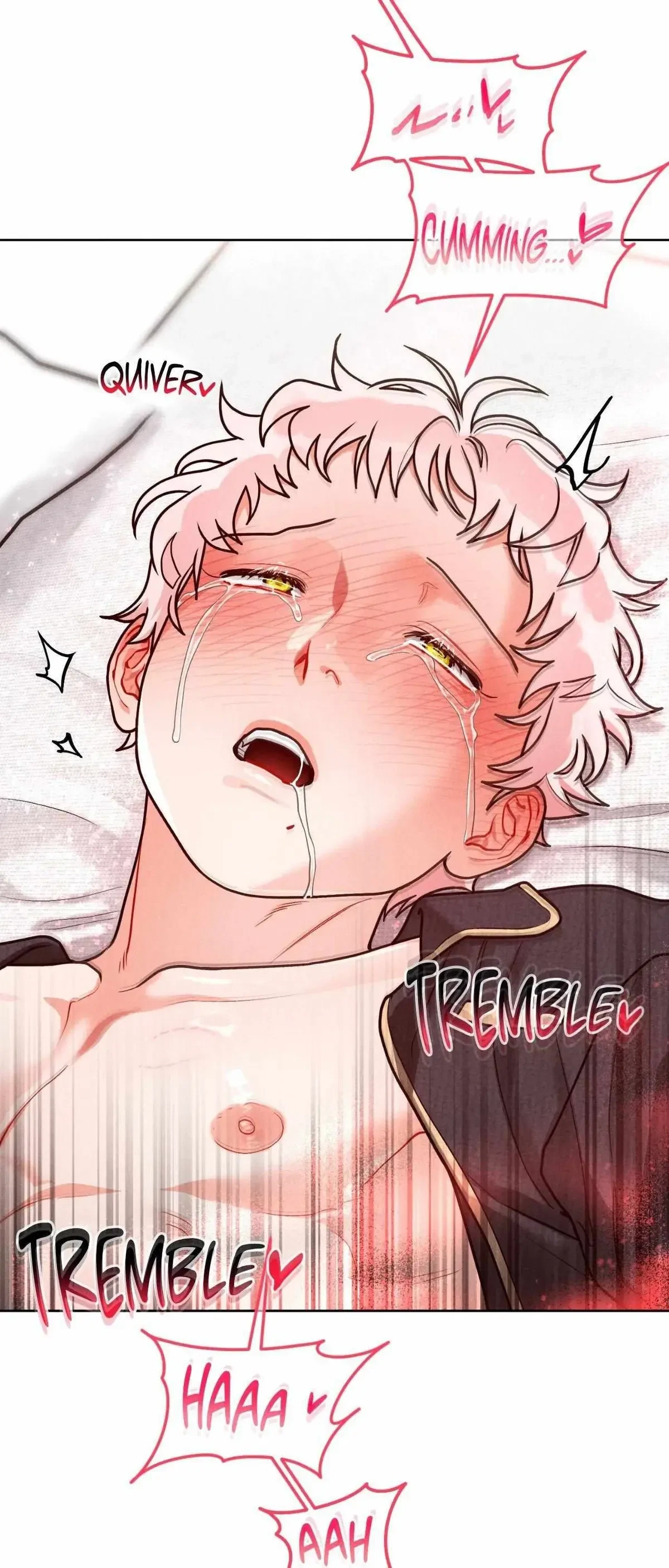 Side. : 5, page 41