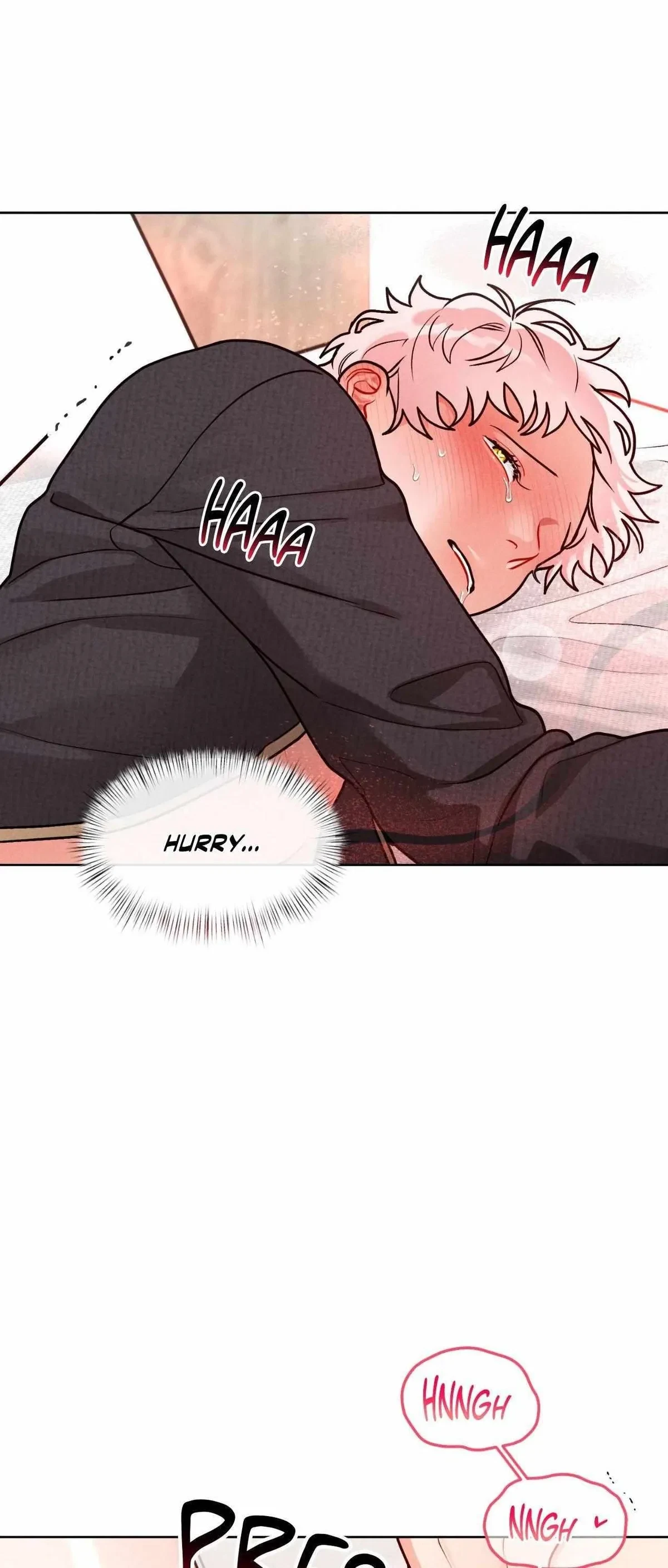 Side. : 5, page 48