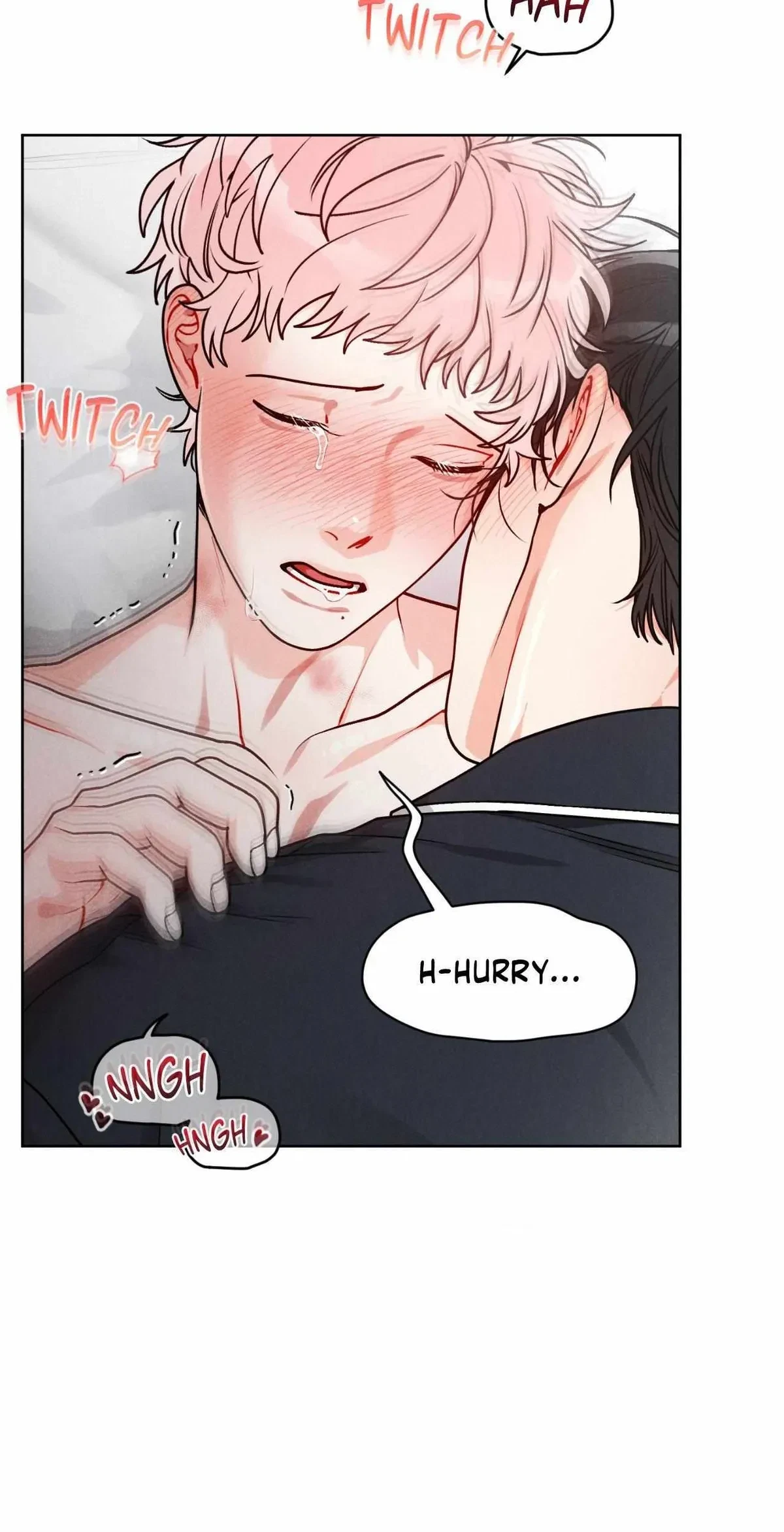 Side. : 1, page 41