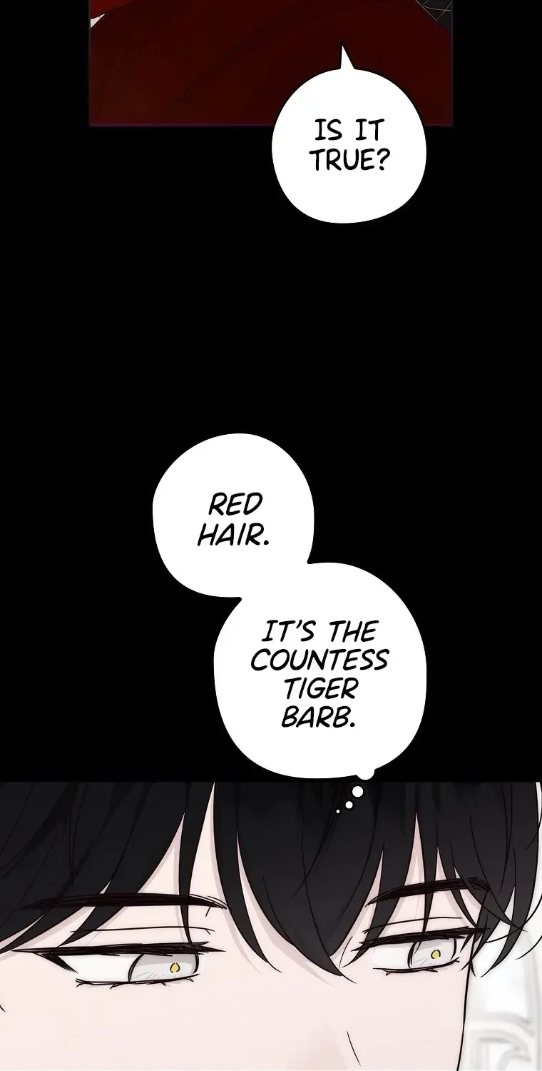 Chapter 6, page 95