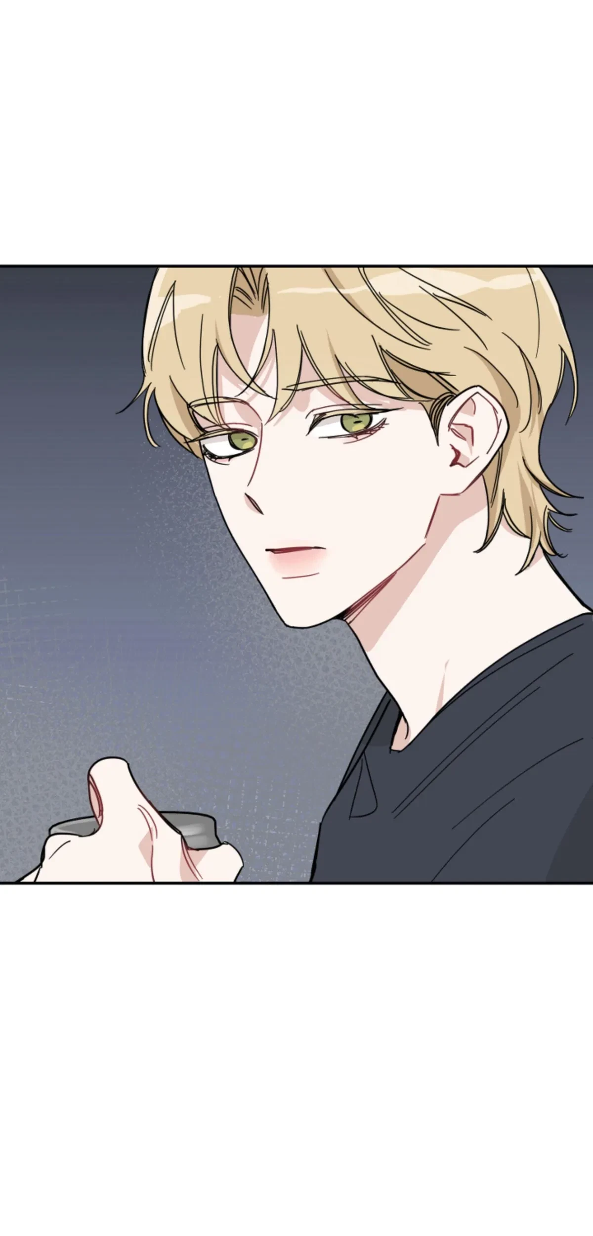 Chapter 4, page 29