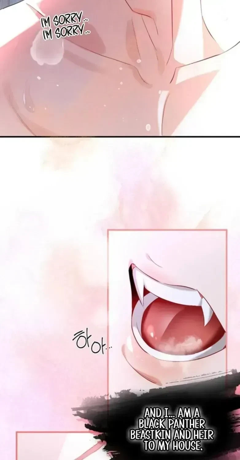 Chapter 1.3, page 8