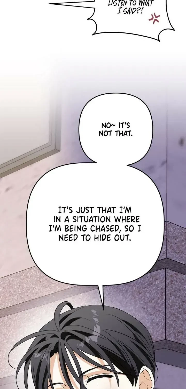 Chapter 2, page 20