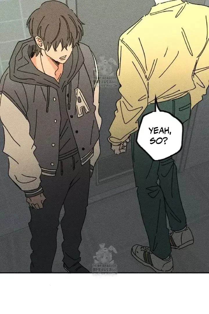 Chapter 2, page 28