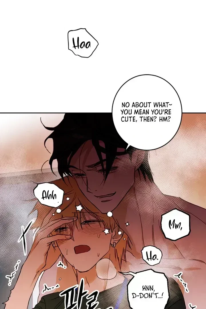 Chapter 1.9, page 33