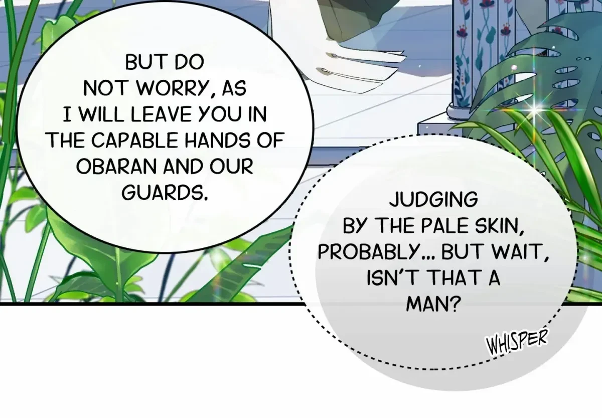 Chapter 2, page 8