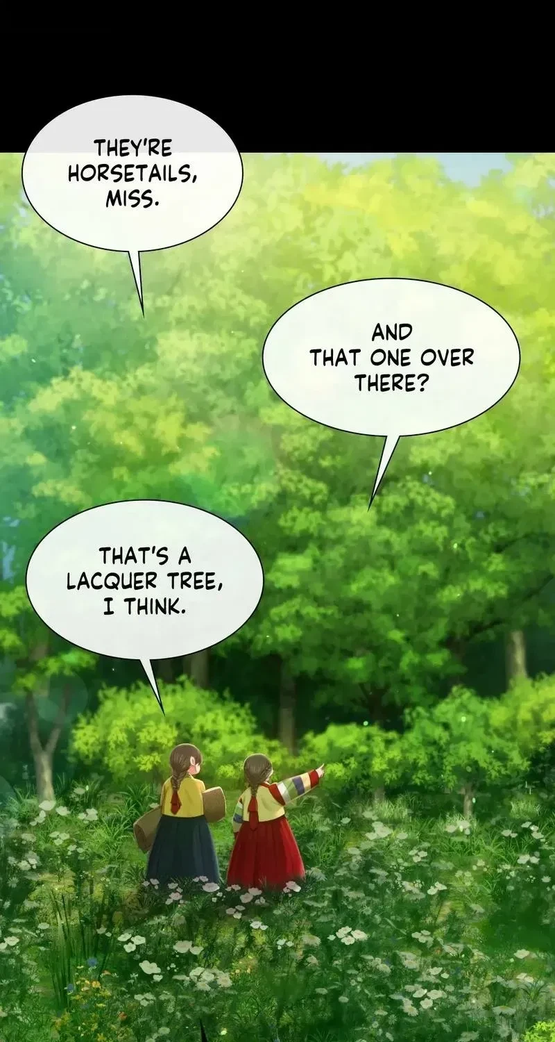 Chapter 92, page 13