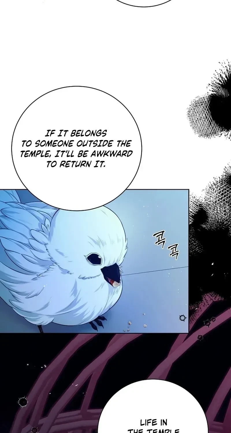 Chapter 73, page 12