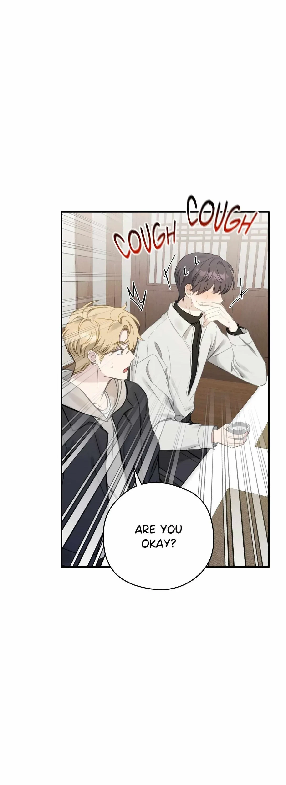 Chapter 2, page 24