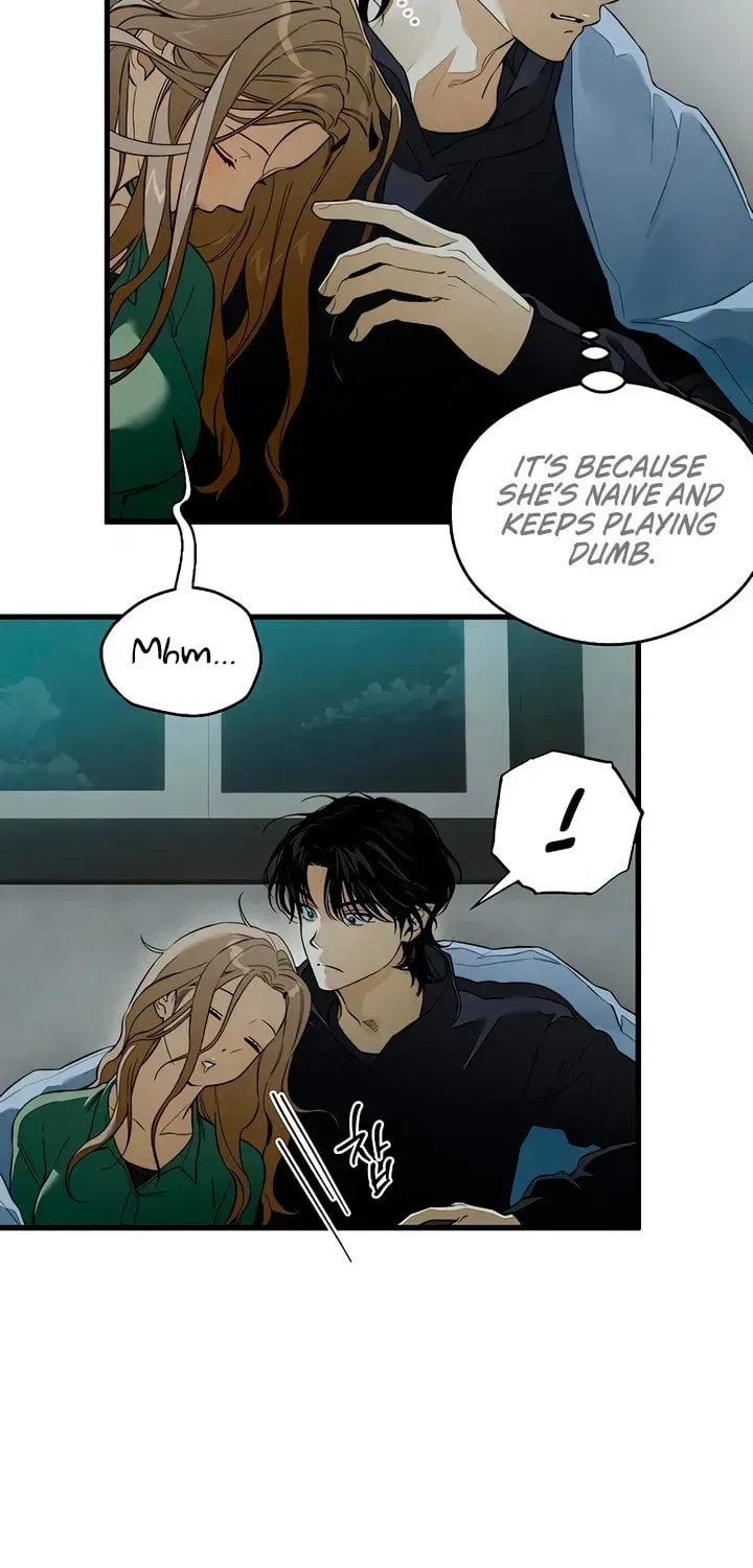 Chapter 2.1, page 15