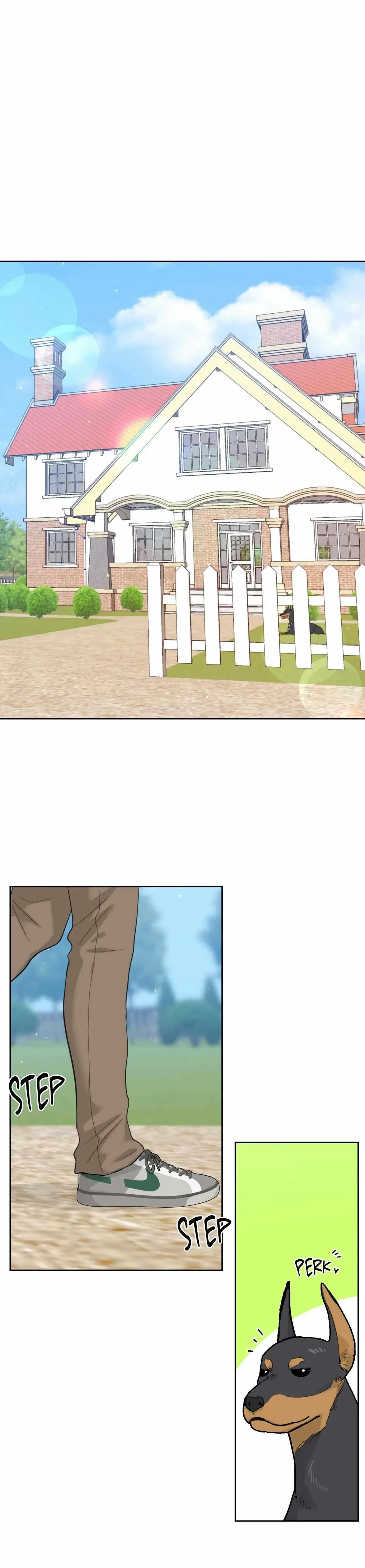 Chapter 4, page 17