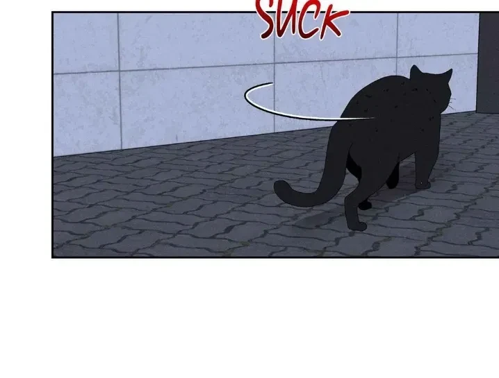 Chapter 27, page 83