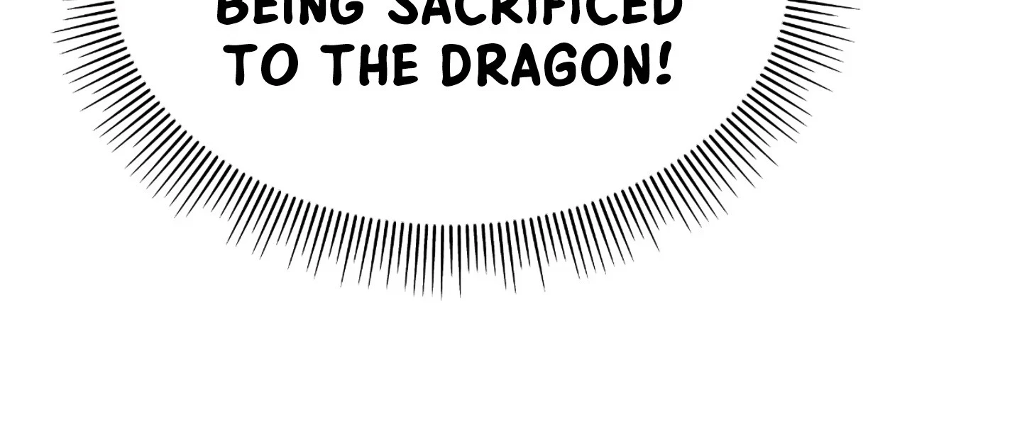 Chapter 2, page 25