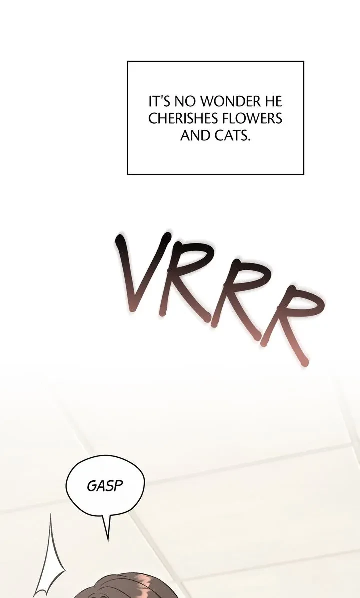 Chapter 31, page 81