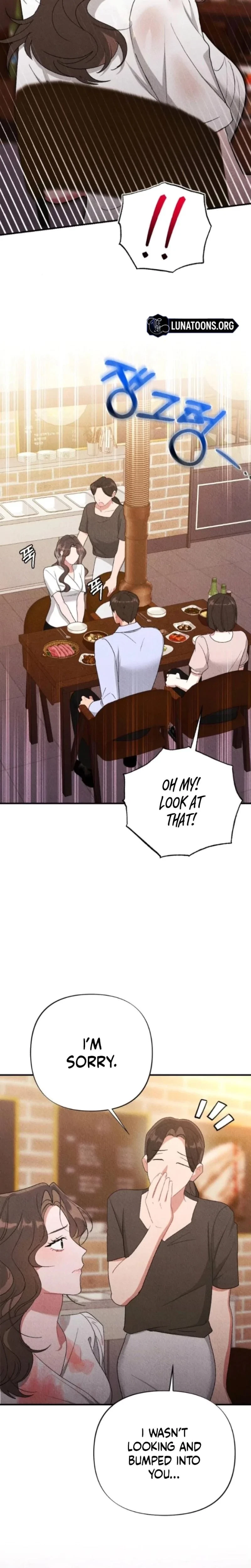 Chapter 1, page 17