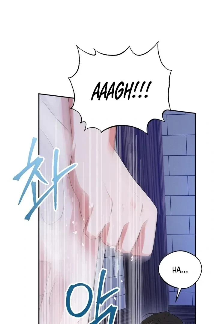 Chapter 6, page 102