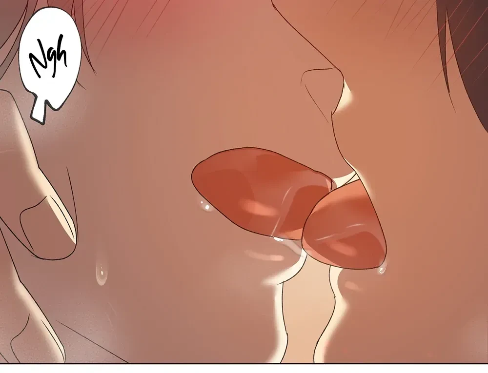 Chapter 4, page 102