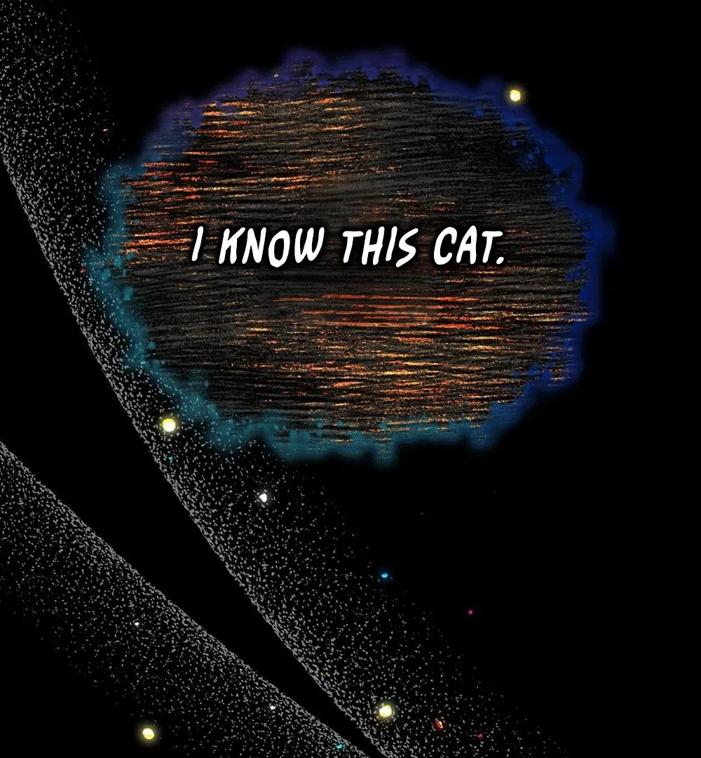 Chapter 5, page 31
