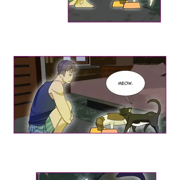 Chapter 1, page 13