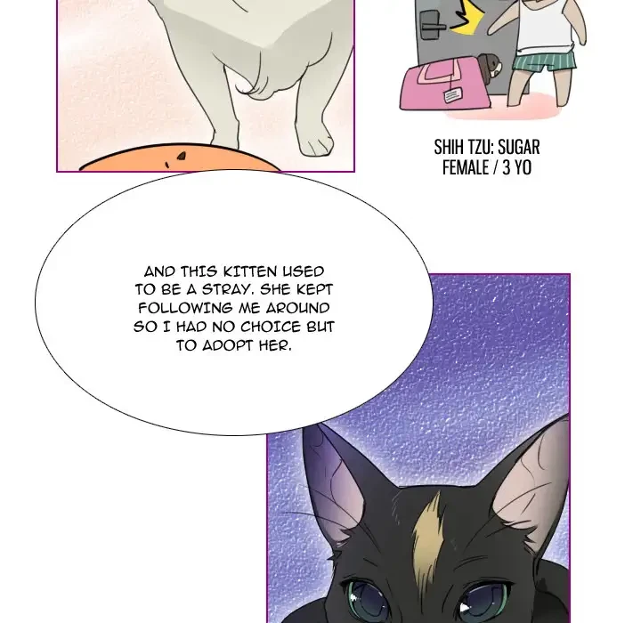 Chapter 1, page 17