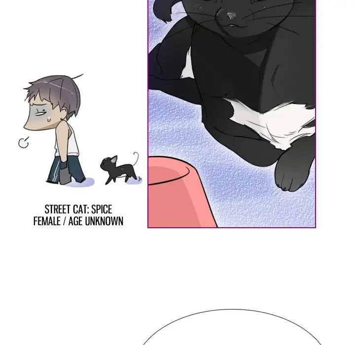 Chapter 1, page 18