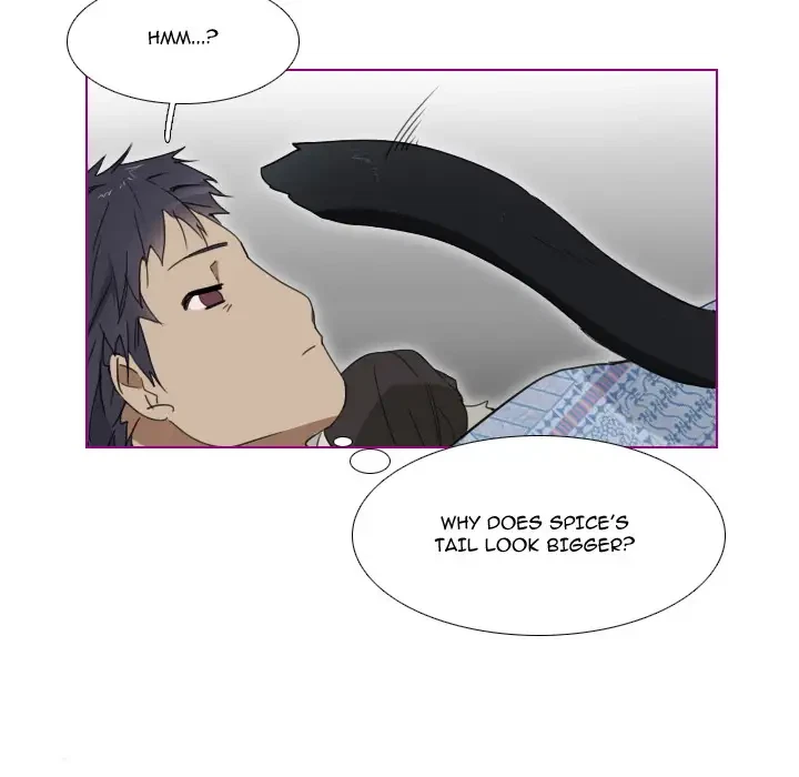 Chapter 1, page 27
