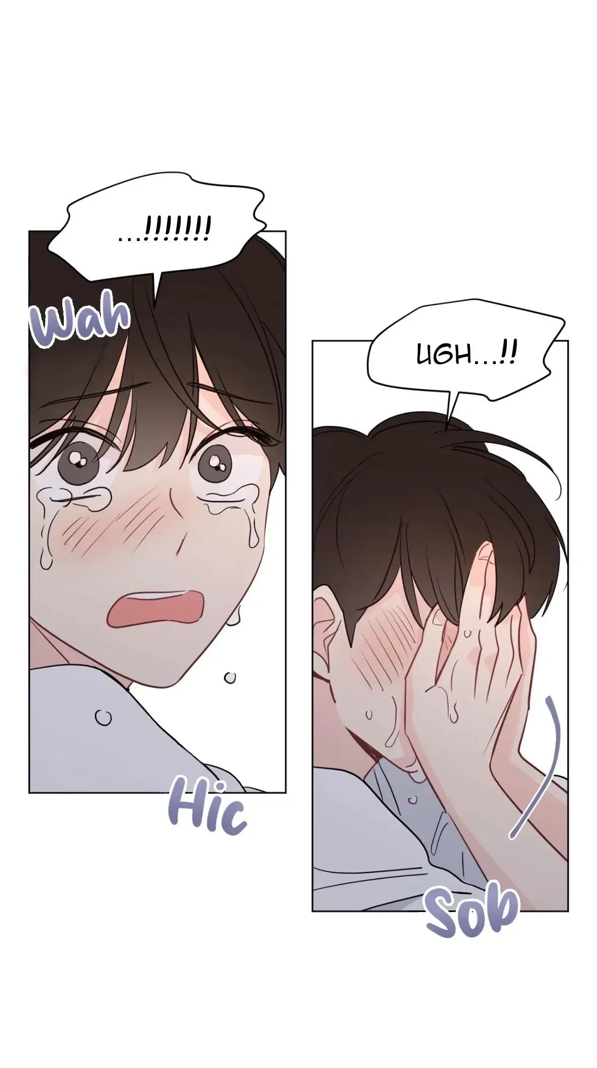 Side.6, page 5