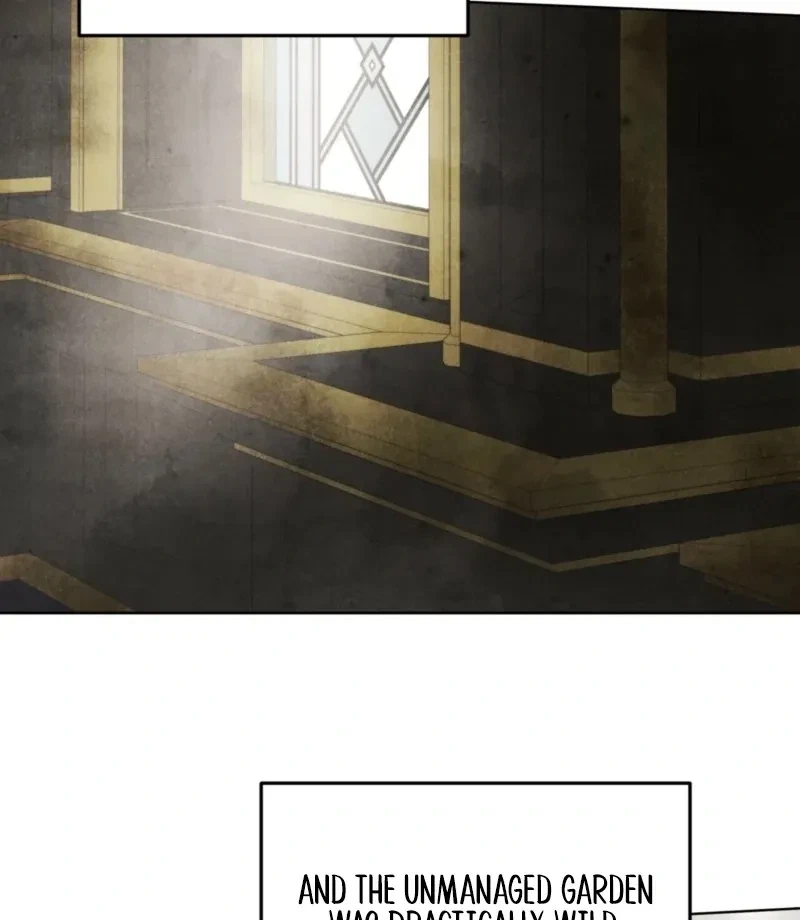 Chapter 4, page 17