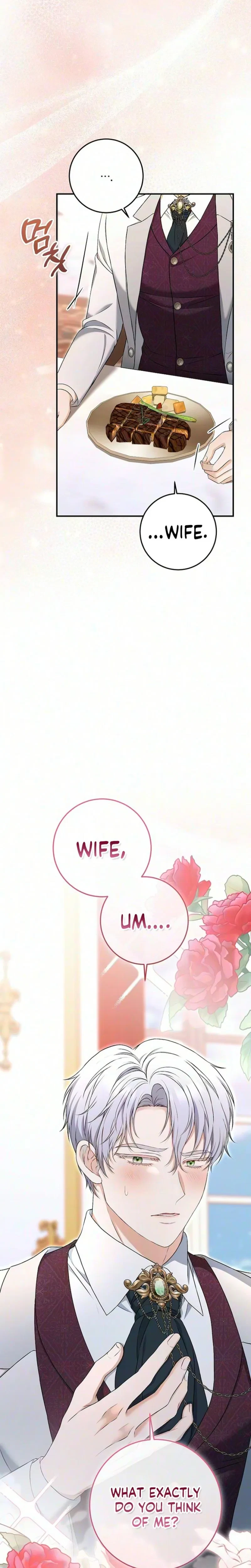 The Covert Of The Countess Chapter 31, page 12